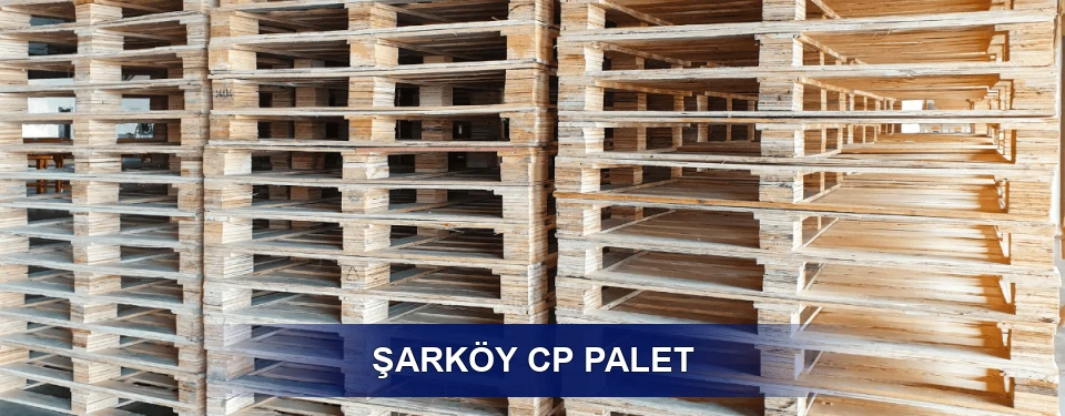 Şarköy Standart Tipler